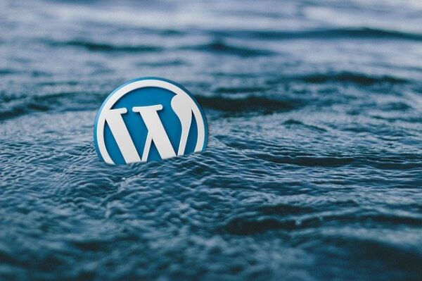 AIOS WordPress Plugin Found Logging Passwords And More In Plaintext